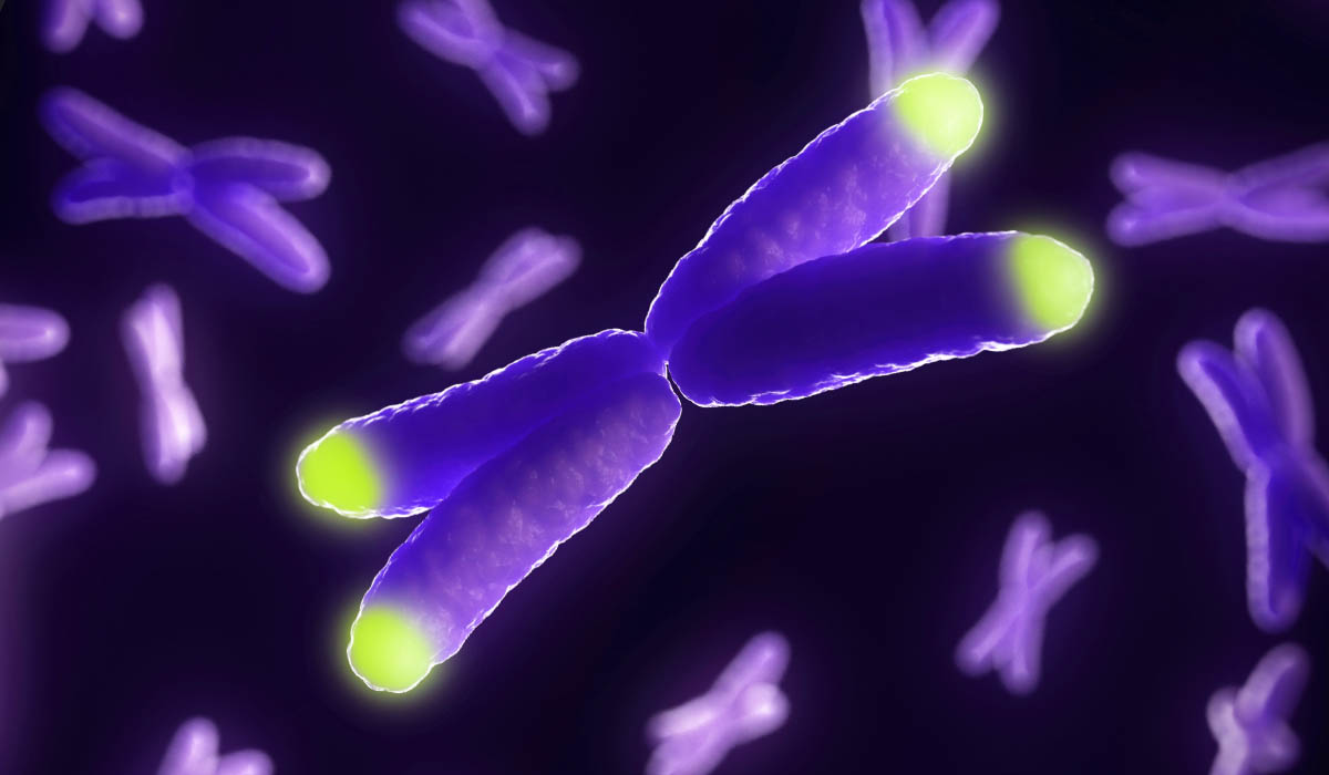 Molecule and the Search for Longevity Therapeutics